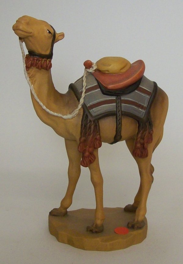 Kamel, 18 cm