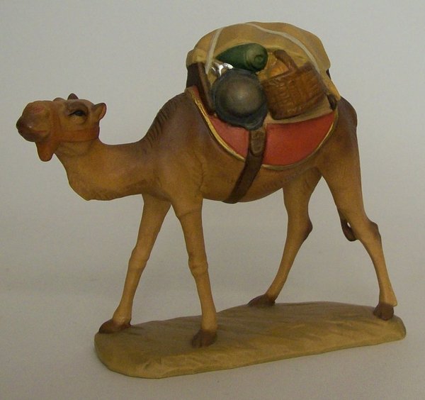 Kamel, 14 cm