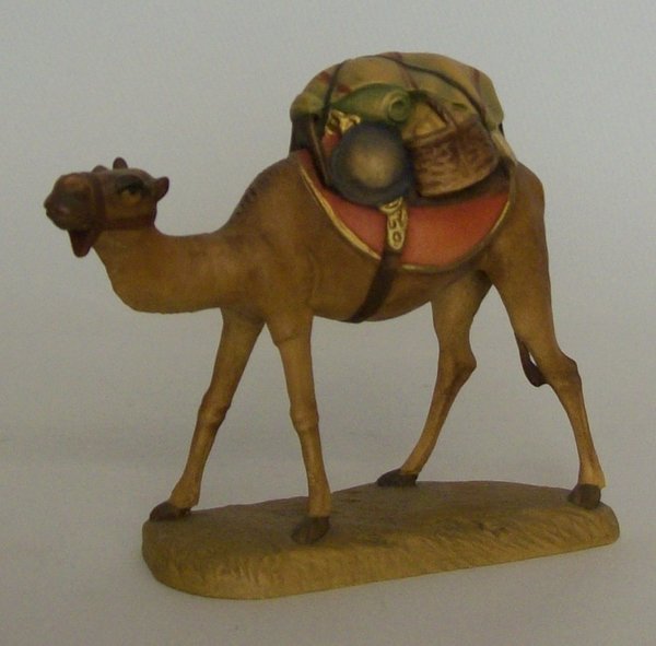 Kamel, 12 cm