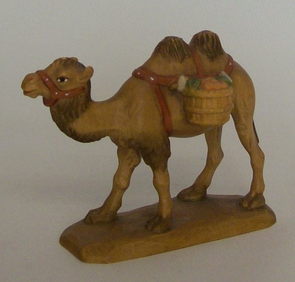 Kamel, 10-11 cm
